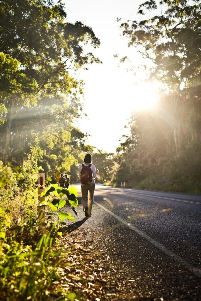 person carrying backpack walking in road beside trees
