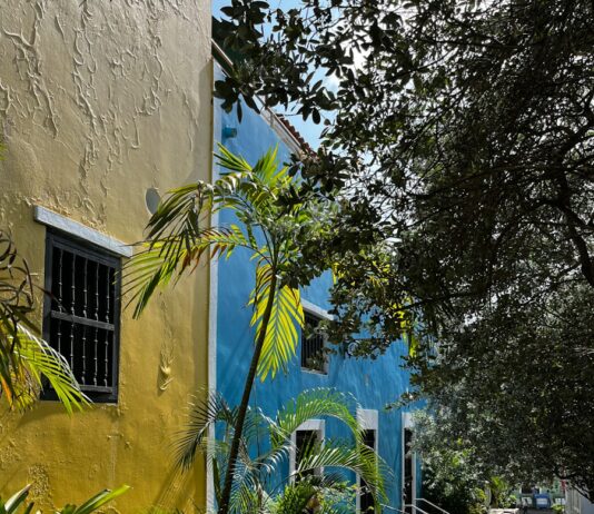 저층 주거지 정비 ‘뉴:빌리지 사업’, 용적률 최대 1.2배까지 완화 a blue and yellow building with a tree in front of it