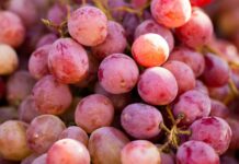 운동과 면역력 증진: 건강한 신체를 위한 전략 a bunch of grapes that are sitting on a table