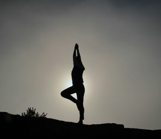 요가 vs 필라테스: “뭐가 더 잘 맞을까?” 나에게 맞는 ‘인생 수련’을 찾는 결정적 차이 person doing yoga exercises