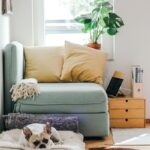 집에서 즐기는 ‘마음 챙김’ 스트레칭, 새로운 건강 트렌드로 주목 beige puppy lying on brown textile